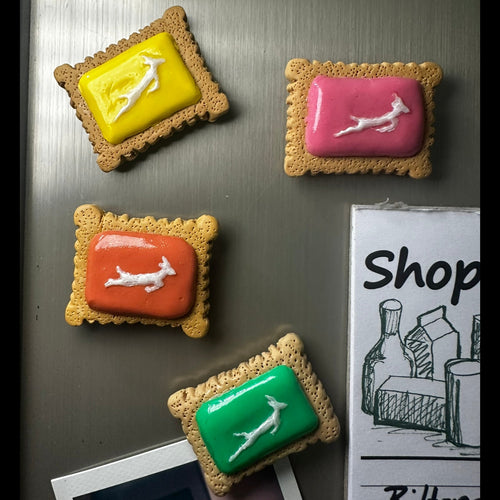 bokkie biscuit fridge magnets with yellow, pink, orange and green icing. 